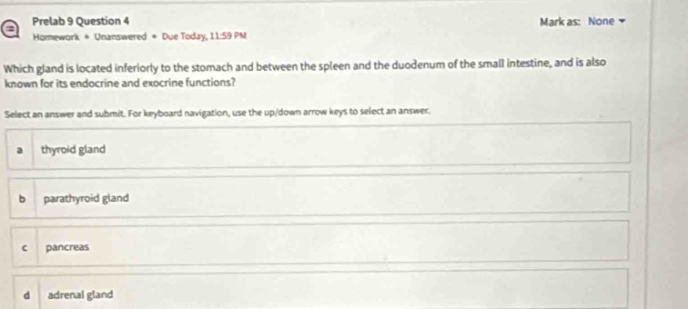 Prelab 9 Question 4
Homework * Unanswered * Due Today, 11:59 PM Mark as: None
Which gland is located inferiorly to the stomach and between the spleen and the duodenum of the small intestine, and is also
known for its endocrine and exocrine functions?
Select an answer and submit. For keyboard navigation, use the up/down arrow keys to select an answer.
thyroid gland
b parathyroid gland
c pancreas
d adrenal gland