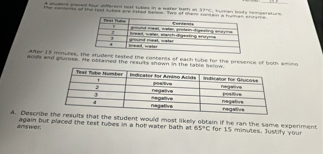 A student placed four different test tubes in a water bath at 37°C , human body temperature. 
The contents of the test tubes are listed below. Two of them containzyme. 
After 15 minutes, ttudent tested the contents of each tube for the presence of both amino 
acids and glucose. He obtained the results shown in the table 
A. Describeat the student would most likely obtain if he ran the same experiment 
again but placed the test tubes in a hot water bath at 65°C for 15 minutes. Justify your 
answer.