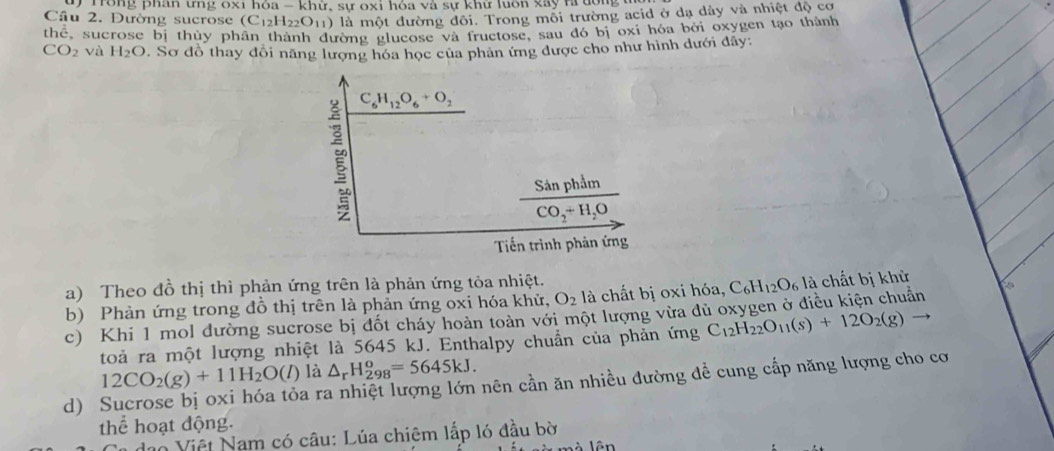 Trong phan ưng oxi hỏa - khử, sự oxi hóa và sự khữ luôn xây ra dong 1 
Câu 2. Đường sucrose (C_12H_22O_11) ở là một đường đôi. Trong mỗi trường acid ở dạ dây và nhiệt độ cơ 
thể, sucrose bị thủy phần thành đường glucose và fructose, sau đó bị oxi hóa bởi oxygen tạo thành
CO_2 và H_2O. Sơ đồ thay đổi năng lượng hóa học của phản ứng được cho như hình dưới đây:
C_6H_12O_6+O_2
Sản phẩm
CO_2+H_2O
Tiến trình phản ứng 
a) Theo đồ thị thì phản ứng trên là phản ứng tỏa nhiệt. 
b) Phản ứng trong đồ thị trên là phản ứng oxi hóa khử, O_2 là chất bị oxi hóa, C_6H_12O_6la chất bị khử 
c) Khi 1 mol đường sucrose bị đốt cháy hoàn toàn với một lượng vừa dủ oxygen ở điều kiện chuẩn 
toà ra một lượng nhiệt là 5645 kJ. Enthalpy chuẩn của phản ứng C_12H_22O_11(s)+12O_2(g)
12CO_2(g)+11H_2O(l) là △ _rH_(298)^o=5645kJ. 
d) 
a ra nhiệt lượng lớn nên cần ăn nhiều đường đề cung cấp năng lượng cho cơ 
thể hoạt động. 
No Việt Nam có câu: Lúa chiêm lấp ló đầu bờ 
là lên