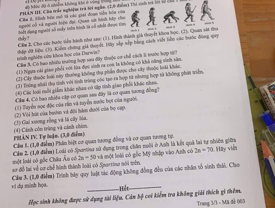 c) Độ ph kho
d) Mức độ ô nhiễm không khí ở vùng trung tảh
PHÀN III. Câu trắc nghiệm trả lời ngắn. (2,0 điểm) Thí sinh trả lời từ cầu 1
Câu 1. Hình bên mô tả các giai đoạn tiến hóa của
người cổ và người hiện đại. Quan sát hình hãy cho
biết đạng người số mấy trên hình là cổ nhất được tìm Hinh 5
Hình 1 Hình 2 Hình 3 Hình 4
Câu 2. Cho các bước tiến hành như sau: (1). Hình thành giả thuyết khoa học. (2). Quan sát thu
thấy?
thập dữ liệu. (3). Kiểm chứng giả thuyết. Hãy sắp xếp bằng cách viết liền các bước đúng quy
trình nghiên cứu khoa học của Darwin?
Câu 3. Có bao nhiêu trường hợp sau đây thuộc cơ chế cách li trước hợp tử?
(1) Ngựa cái giao phối với lừa đực sinh ra con la không có khả năng sinh sản.
(2) Cây thuộc loài này thường không thụ phẩn được cho cây thuộc loài khác.
(3) Trứng nhái thụ tinh với tinh trùng cóc tạo ra hợp tử nhưng hợp tử không phát triển.
(4) Các loài ruồi giấm khác nhau có tập tính giao phối khác nhau.
Câu 4. Có bao nhiêu cặp cơ quan sau đây là cơ quan tương đồng?
(1) Tuyến nọc độc của rắn và tuyến nước bọt của người.
(2) Vòi hút của bướm và đôi hàm đưới của bọ cạp.
(3) Gai xương rồng và lá cây lúa.
(4) Cánh côn trùng và cánh chim.
PHÀN IV. Tự luận. (3,0 điểm)
Câu 1. (1,0 điểm) Phân biệt cơ quan tương đồng và cơ quan tương tự.
Câu 2. (1,0 điểm) Loài cỏ Spartina sử dụng trong chăn nuôi ở Anh là kết quả lai tự nhiên giữa
một loài cỏ gốc Châu Âu có 2n=50 và một loài cỏ gốc Mỹ nhập vào Anh có 2n=70. Hãy viết
sơ đồ lai về cơ chế hình thành loài cỏ Spartina nói trên.
Câu 3. (1,0 điểm) Trình bày quy luật tác động không đồng đều của các nhân tố sinh thái. Cho
ví dụ minh họa.
_-Hết_
Học sinh không được sử dụng tài liệu. Cán bộ coi kiểm tra không giải thích gì thêm.
Trang 3/3 - Mã đề 003