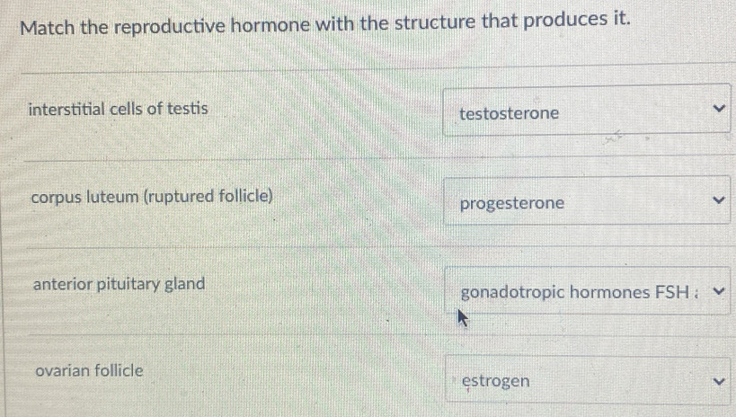 Match the reproductive hormone with the structure that produces it.
interstitial cells of testis testosterone
corpus luteum (ruptured follicle)
progesterone
anterior pituitary gland gonadotropic hormones FSH :
ovarian follicle
estrogen