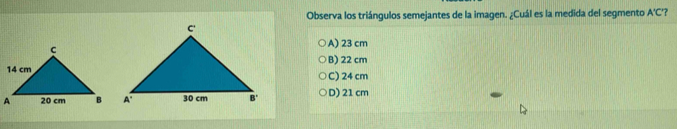 Observa los triángulos semejantes de la imagen. ¿Cuál es la medida del segmento A'C '?
A) 23 cm
B) 22 cm
C) 24 cm
D) 21 cm