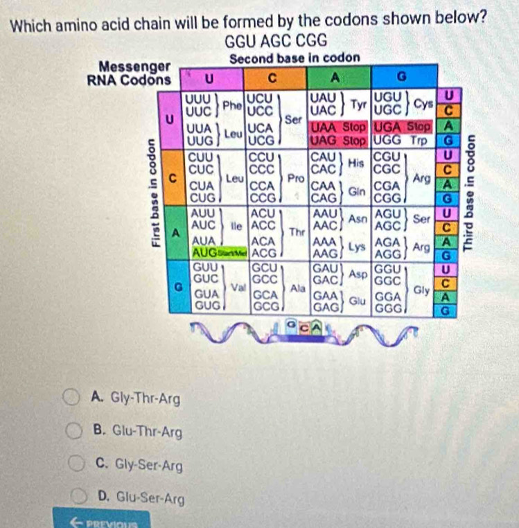 Which amino acid chain will be formed by the codons shown below?
GGU AGC CGG
A. Gly-Thr-Arg
B. Glu-Thr-Arg
C. Gly-Ser-Arg
D. Glu-Ser-Arg
PREVIOUS