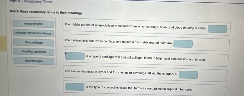 PaR B - Vocabulary Terms
Match these vocabulary terms to their meanings.
mesenchyme The middle portion of unspecialized mesoderm from which cartilage, bone, and blood develop is called
reticular connective tissue
The mature cells that live in cartilage and maintain the matrix around them are
fibrocartilage
stratified epithelia
is a type of cartilage with a net of collagen fibers to help resist compression and tension.
chondrocytes
Any tissues that exist in layers and form linings or coverings fall into the category of
is the type of connective tissue that forms a structural net to support other cells.