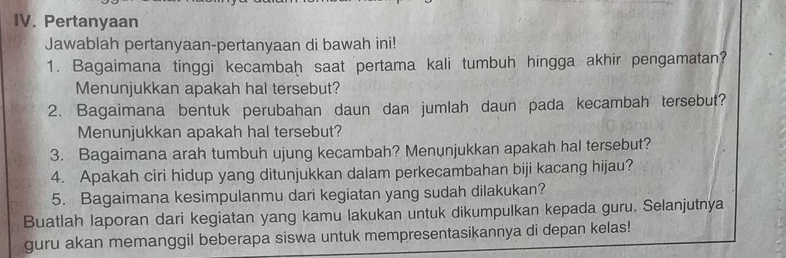 Pertanyaan 
Jawablah pertanyaan-pertanyaan di bawah ini! 
1. Bagaimana tinggi kecambaḥ saat pertama kali tumbuh hingga akhir pengamatan? 
Menunjukkan apakah hal tersebut? 
2. Bagaimana bentuk perubahan daun dan jumlah daun pada kecambah tersebut? 
Menunjukkan apakah hal tersebut? 
3. Bagaimana arah tumbuh ujung kecambah? Menunjukkan apakah hal tersebut? 
4. Apakah ciri hidup yang ditunjukkan dalam perkecambahan biji kacang hijau? 
5. Bagaimana kesimpulanmu dari kegiatan yang sudah dilakukan? 
Buatlah laporan dari kegiatan yang kamu lakukan untuk dikumpulkan kepada guru. Selanjutnya 
guru akan memanggil beberapa siswa untuk mempresentasikannya di depan kelas!