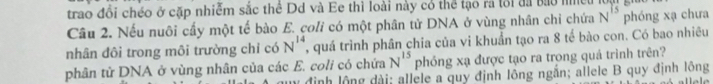 trao đổi chéo ở cặp nhiễm sắc thể Dd và Ee thì loài này có thể tạo ra tối đã bao me 
Câu 2. Nếu nuôi cấy một tế bào E. coli có một phân tử DNA ở vùng nhân chỉ chứa N^(15) phóng xạ chưa 
nhân đôi trong môi trường chỉ có N^(14) quá trình phân chia của vi khuẩn tạo ra 8 tế bào con. Có bao nhiêu 
phân tử DNA ở vùng nhân của các E. coli có chứa N^(15) phóng xạ được tạo ra trong quá trình trên? 
uy định lộng dài; allele a quy định lông ngắn; allele B quy định lông