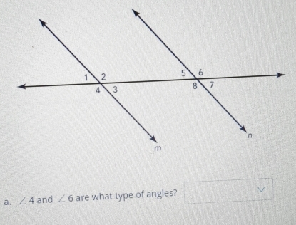 ∠ 4 and ∠ 6 are what type of angles? □ 