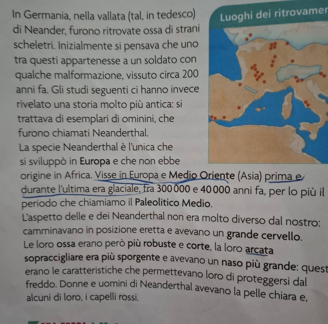 In Germania, nella vallata (tal, in tedesco) Luoghi dei ritrovamer 
di Neander, furono ritrovate ossa di strani 
scheletri. Inizialmente si pensava che uno 
tra questi appartenesse a un soldato con 
qualche malformazione, vissuto circa 200
anni fa. Gli studi seguenti ci hanno invece 
rivelato una storia molto più antica: si 
trattava di esemplari di ominini, che 
furono chiamati Neanderthal. 
La specie Neanderthal è l'unica che 
si sviluppò in Europa e che non ebbe 
origine in Africa. Visse in Europa e Medio a) prima e 
durante l'ultima era glaciale, fra 300000 e 40000 anni fa, per lo più il 
periodo che chiamiamo il Paleolitico Medio. 
Laspetto delle e dei Neanderthal non era molto diverso dal nostro: 
camminavano in posizione eretta e avevano un grande cervello. 
Le loro ossa erano però più robuste e corte, la loro arcata 
sopraccigliare era più sporgente e avevano un naso più grande: quest 
erano le caratteristiche che permettevano loro di proteggersi dal 
freddo. Donne e uomini di Neanderthal avevano la pelle chiara e, 
alcuni di loro, i capelli rossi.