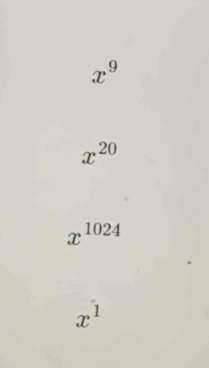 x^9
x^(20)
x^(1024)
x^1