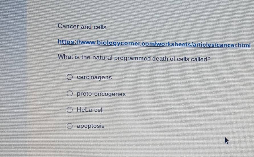 Cancer and cells
https://www.biology corner.com/worksheets/articles/cancer.html
What is the natural programmed death of cells called?
carcinagens
proto-oncogenes
HeLa cell
apoptosis