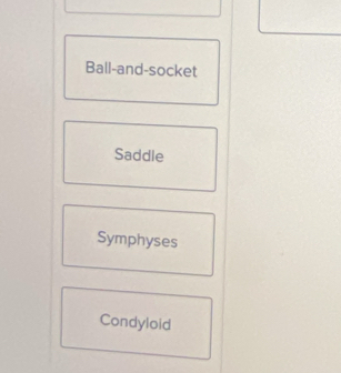 Ball-and-socket
Saddle
Symphyses
Condyloid