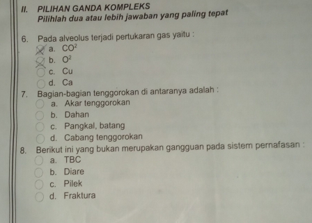 PILIHAN GANDA KOMPLEKS
Pilihlah dua atau lebih jawaban yang paling tepat
6. Pada alveolus terjadi pertukaran gas yaitu :
a. CO^2
b. O^2
c. Cu
d. Ca
7. Bagian-bagian tenggorokan di antaranya adalah :
a. Akar tenggorokan
b. Dahan
c. Pangkal, batang
d. Cabang tenggorokan
8. Berikut ini yang bukan merupakan gangguan pada sistem pernafasan :
a、 TBC
b. Diare
c. Pilek
d. Fraktura