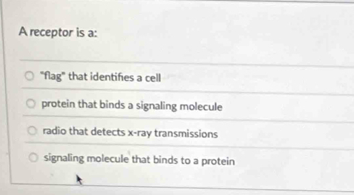 A receptor is a:
"flag" that identifies a cell
protein that binds a signaling molecule
radio that detects x -ray transmissions
signaling molecule that binds to a protein