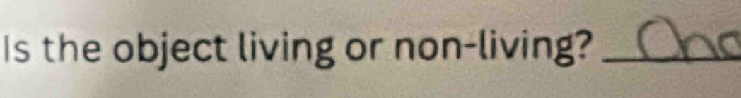 Is the object living or non-living?_