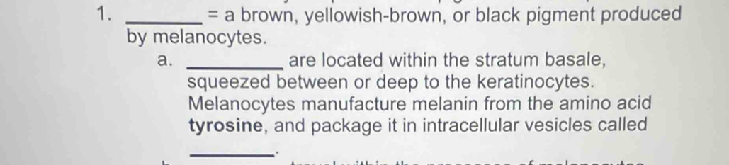 = a brown, yellowish-brown, or black pigment produced 
by melanocytes. 
a. _are located within the stratum basale, 
squeezed between or deep to the keratinocytes. 
Melanocytes manufacture melanin from the amino acid 
tyrosine, and package it in intracellular vesicles called 
_.