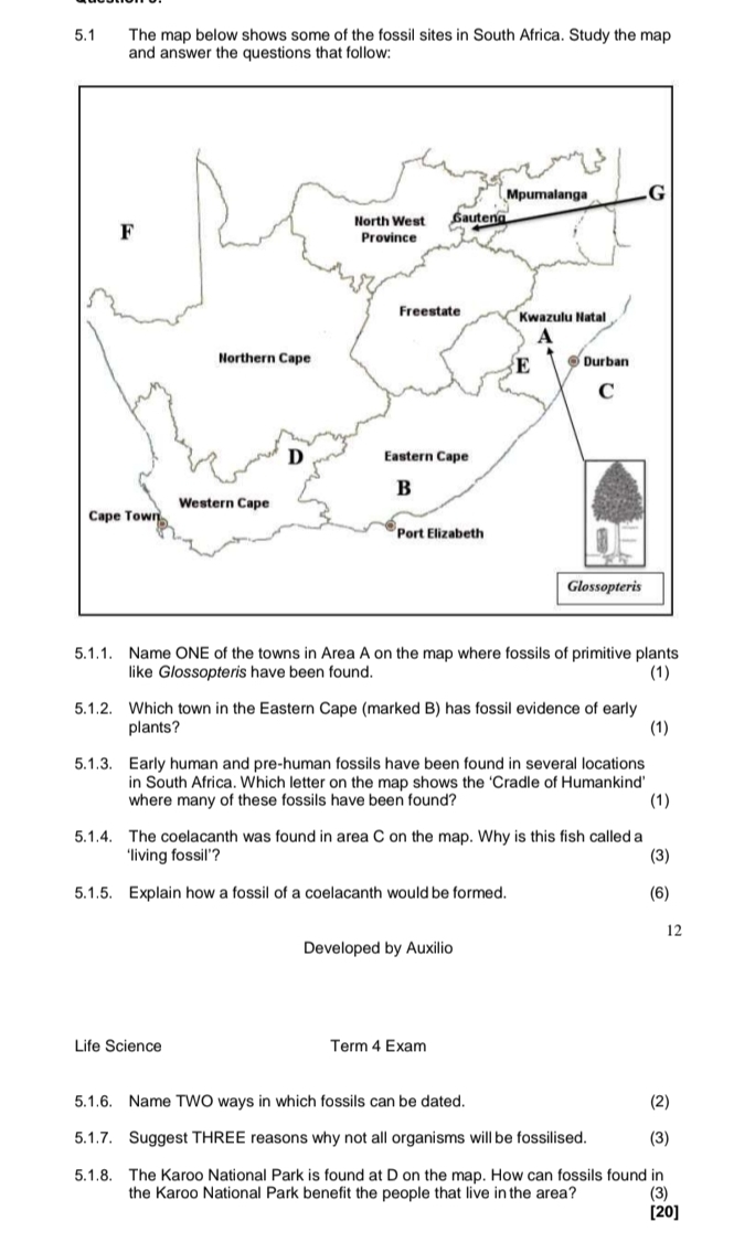 5.1 The map below shows some of the fossil sites in South Africa. Study the map 
and answer the questions that follow: 
5.1.1. Name ONE of the towns in Area A on the map where fossils of primitive plants 
like Glossopteris have been found. (1) 
5.1.2. Which town in the Eastern Cape (marked B) has fossil evidence of early 
plants? (1) 
5.1.3. Early human and pre-human fossils have been found in several locations 
in South Africa. Which letter on the map shows the ‘Cradle of Humankind’ 
where many of these fossils have been found? (1) 
5.1.4. The coelacanth was found in area C on the map. Why is this fish called a 
‘living fossil’? (3) 
5.1.5. Explain how a fossil of a coelacanth would be formed. (6) 
12 
Developed by Auxilio 
Life Science Term 4 Exam 
5.1.6. Name TWO ways in which fossils can be dated. 
(2) 
5.1.7. Suggest THREE reasons why not all organisms will be fossilised. (3) 
5.1.8. The Karoo National Park is found at D on the map. How can fossils found in 
the Karoo National Park benefit the people that live in the area? (3) 
[20]