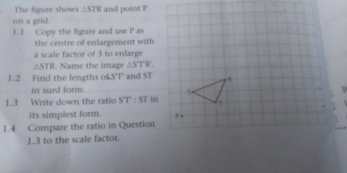 The figure shows △ STR and point P
on a grid. 
1.1 Copy the figure and use P as 
the centre of enlargement with 
a scale factor of 3 to enlarge
△ STR. Name the image △ ST'R'. 
1.2 Find the lengths of ST and ST
in surd form. 
1.3 Write down the ratio ST: ST in 
its simplest form. 
1.4 Compare the ratio in Question 
1.3 to the scale factor.