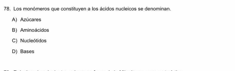 Los monómeros que constituyen a los ácidos nucleicos se denominan.
A) Azúcares
B) Aminoácidos
C) Nucleótidos
D) Bases