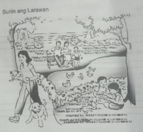 Suriin ang Larawan