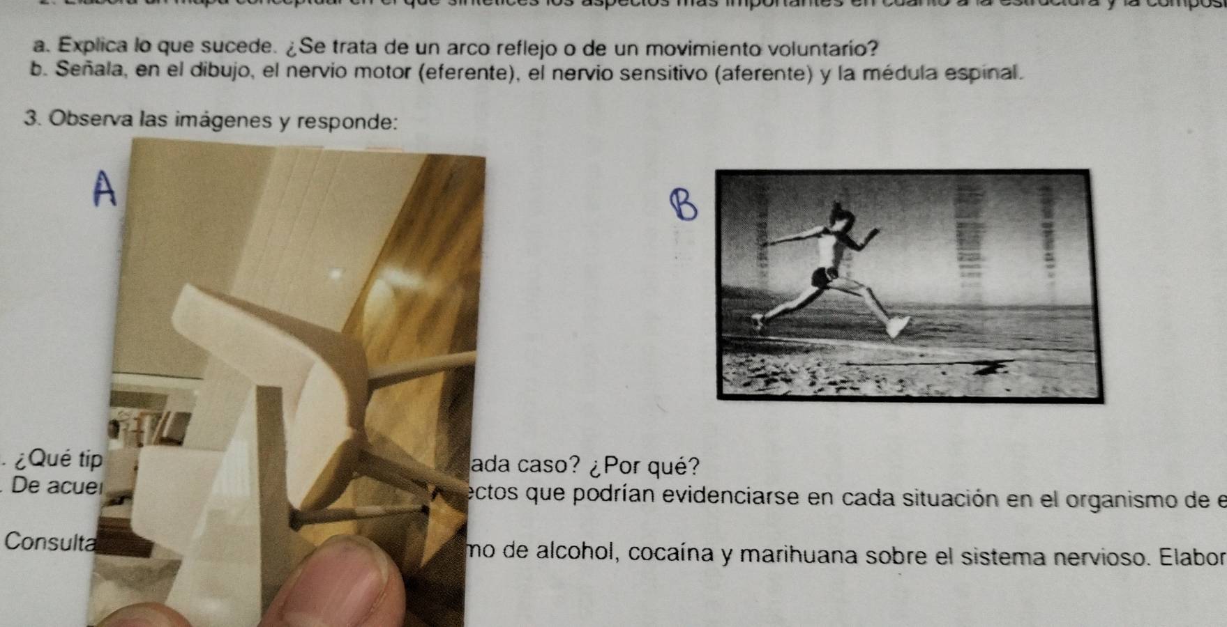 Explica lo que sucede. ¿Se trata de un arco reflejo o de un movimiento voluntario? 
b. Señala, en el dibujo, el nervio motor (eferente), el nervio sensitivo (aferente) y la médula espinal. 
3. Observa las imágenes y responde: 
¿Qué tip ada caso? ¿Por qué? 
De acuel ectos que podrían evidenciarse en cada situación en el organismo de el 
Consulta mo de alcohol, cocaína y marihuana sobre el sistema nervioso. Elabor