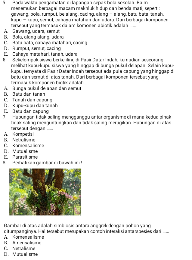 Pada waktu pengamatan di lapangan sepak bola sekolah. Baim
menemukan berbagai macam makhluk hidup dan benda mati, seperti:
gawang, bola, rumput, belalang, cacing, alang - alang, batu bata, tanah,
kupu - kupu, semut, cahaya matahari dan udara. Dari berbagai komponen
tersebut yang termasuk dalam komonen abiotik adalah ......
A. Gawang, udara, semut
B. Bola, alang-alang, udara
C. Batu bata, cahaya matahari, cacing
D. Rumput, semut, cacing
E. Cahaya matahari, tanah, udara
6. Sekelompok siswa berkeliling di Pasir Datar Indah, kemudian seseorang
melihat kupu-kupu siswa yang hinggap di bunga pukul delapan. Selain kupu-
kupu, ternyata di Pasir Datar Indah tersebut ada pula capung yang hinggap di
batu dan semut di atas tanah. Dari berbagai komponen tersebut yang
termasuk komponen biotik adalah ....
A. Bunga pukul delapan dan semut
B. Batu dan tanah
C. Tanah dan capung
D. Kupu kupu dan tanah
E. Batu dan capung
7. Hubungan tidak saling mengganggu antar organisme di mana kedua pihak
tidak saling menguntungkan dan tidak saling merugikan. Hubungan di atas
tersebut dengan ......
A. Kompetisi
B. Netralisme
C. Komensalisme
D. Mutualisme
E. Parasitisme
8. Perhatikan gambar di bawah ini !
Gambar di atas adalah simbiosis antara anggrek dengan pohon yang
ditumpanginya. Hal tersebut merupakan contoh interaksi antarspesies dari ......
A. Komensalisme
B. Amensalisme
C. Netralisme
D. Mutualisme