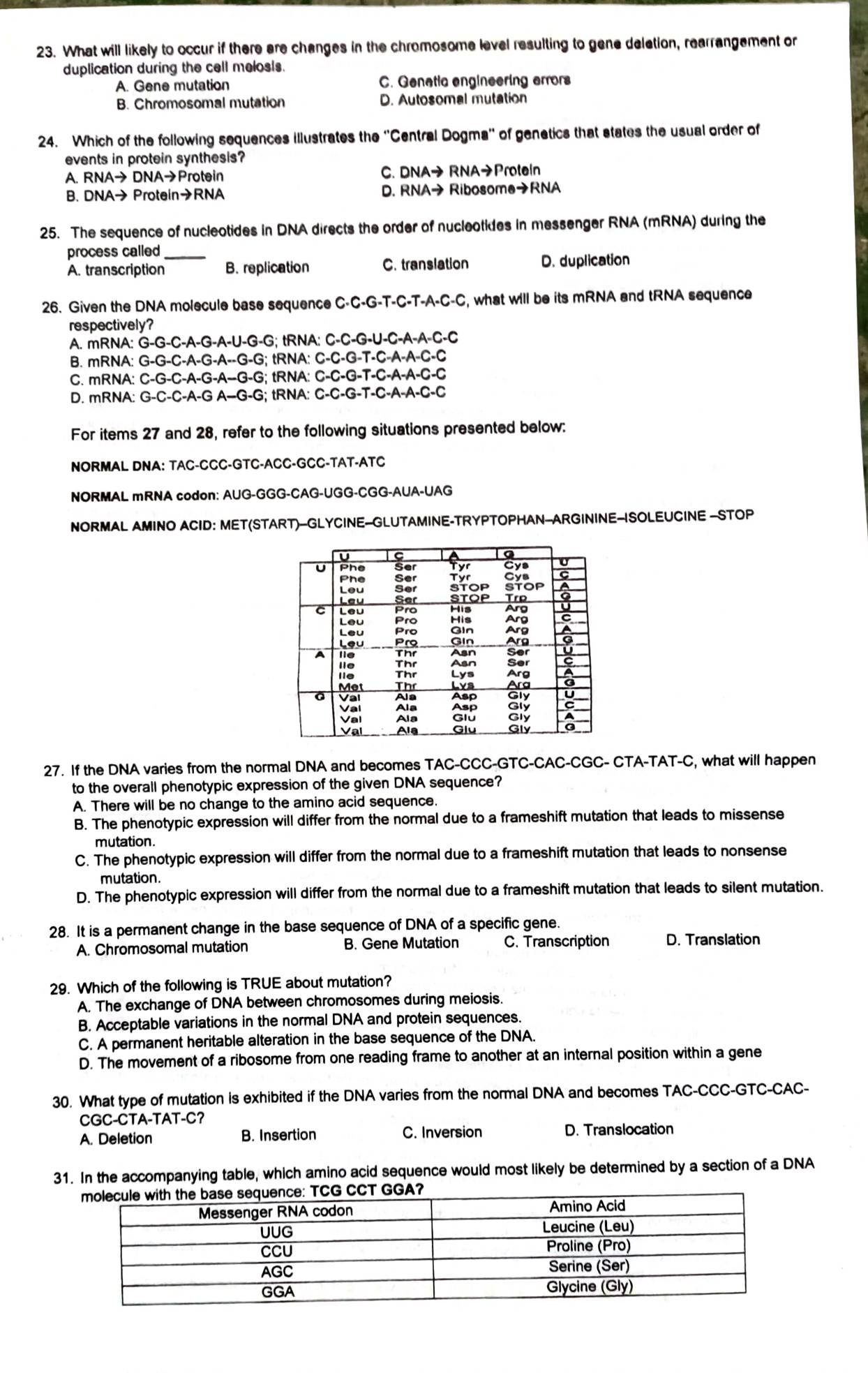 What will likely to occur if there are changes in the chromosome level resulting to gene delation, rearrangement or
duplication during the cell melosis.
A. Gene mutation C. Genetic engineering errors
B. Chromosomal mutation D. Autosomal mutation
24. Which of the following sequences illustrates the ''Central Dogma'' of genetics that states the usual order of
events in protein synthesis?
A. RNA→ DNA→Protein C. DNA→ RNA→Protein
B. DNA→ Protain→RNA D. RNA→ Ribosome→RNA
25. The sequence of nucleotides in DNA directs the order of nucleotides in messenger RNA (mRNA) during the
process called_
A. transcription B. replication C. translation D. duplication
26. Given the DNA molecule base sequence C-C-G-T-C-T-A-C-C, what will be its mRNA and tRNA sequence
respectively?
A. mRNA: G-G-C-A-G-A-U-G-G; tRNA: C-C-G-U-C-A-A-C-C
B. mRNA: G-G-C-A-G-A--G-G; tRNA: C-C-G-T-C-A-A-C-C
C. mRNA: C-G-C-A-G-A--G-G; tRNA: C-C-G-T-C-A-A-C-C
D. mRNA: G-C-C-A-G A—G-G; tRNA: C-C-G-T-C-A-A-C-C
For items 27 and 28, refer to the following situations presented below:
NORMAL DNA: TAC-CCC-GTC-ACC-GCC-TAT-ATC
NORMAL mRNA codon: AUG-GGG-CAG-UGG-CGG-AUA-UAG
NORMAL AMINO ACID: MET(START)--GLYCINE--GLUTAMINE-TRYPTOPHAN--ARGININE--ISOLEUCINE -STOP
27. If the DNA varies from the normal DNA and becomes TAC-CCC-GTC-CAC-CGC- CTA-TAT-C, what will happen
to the overall phenotypic expression of the given DNA sequence?
A. There will be no change to the amino acid sequence.
B. The phenotypic expression will differ from the normal due to a frameshift mutation that leads to missense
mutation.
C. The phenotypic expression will differ from the normal due to a frameshift mutation that leads to nonsense
mutation.
D. The phenotypic expression will differ from the normal due to a frameshift mutation that leads to silent mutation.
28. It is a permanent change in the base sequence of DNA of a specific gene.
A. Chromosomal mutation B. Gene Mutation C. Transcription D. Translation
29. Which of the following is TRUE about mutation?
A. The exchange of DNA between chromosomes during meiosis.
B. Acceptable variations in the normal DNA and protein sequences.
C. A permanent heritable alteration in the base sequence of the DNA.
D. The movement of a ribosome from one reading frame to another at an internal position within a gene
30. What type of mutation is exhibited if the DNA varies from the normal DNA and becomes TAC-CCC-GTC-CAC-
CGC-CTA-TAT-C？
A. Deletion B. Insertion C. Inversion D. Translocation
31. In the accompanying table, which amino acid sequence would most likely be determined by a section of a DNA
A?