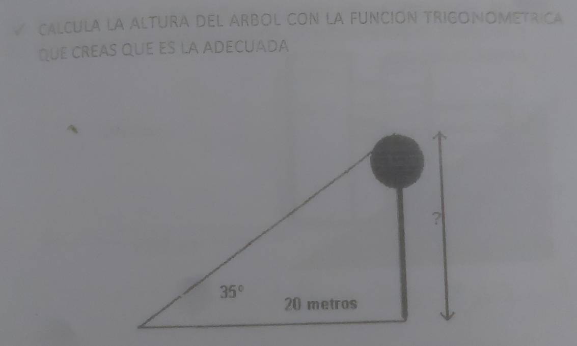 Resuelto:CALCULA LA ALTURA DEL ARBOL CON LA FUNCION TRIGONOMETRICA qUE ...
