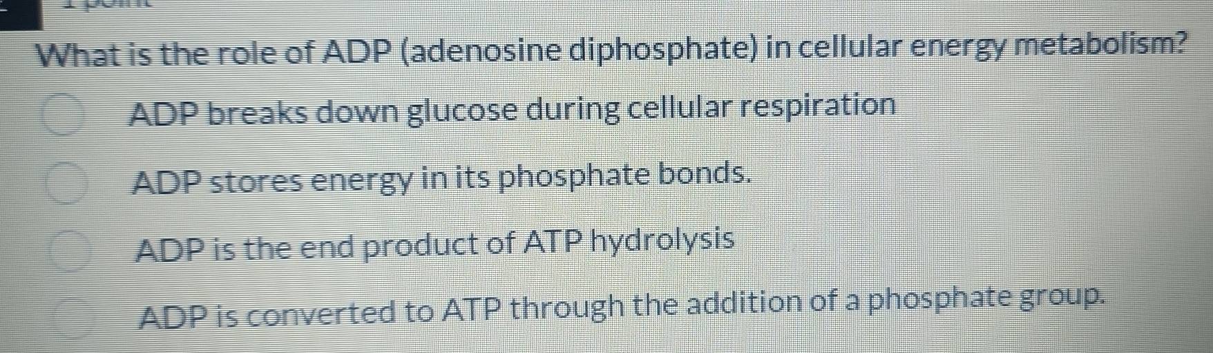 What is the role of ADP (adenosine diphosphate) in cellular energy metabolism?
ADP breaks down glucose during cellular respiration
ADP stores energy in its phosphate bonds.
ADP is the end product of ATP hydrolysis
ADP is converted to ATP through the addition of a phosphate group.