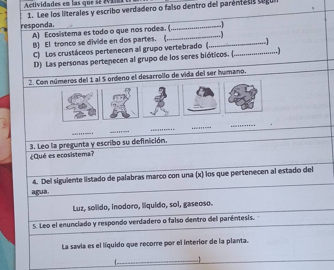 Actividades en las que se evalua 
1. Lee los literales y escribo verdadero o falso dentro del paréntesis segul 
responda. _.) 
A) Ecosistema es todo o que nos rodea. (_ 
) 
B) El tronco se divide en dos partes. (_ 
C) Los crustáceos pertenecen al grupo vertebrado ( 
D) Las personas pertenecen al grupo de los seres bióticos. (._ 
2. Con números del 1 al 5 ordeno el desarrollo de vida del ser humano. 
_ 
_ 
_ 
_ 
_ 
3. Leo la pregunta y escribo su definición. 
¿Qué es ecosistema? 
4. Del siguiente listado de palabras marco con una (x) los que pertenecen al estado del 
agua. 
Luz, solido, inodoro, liquido, sol, gaseoso. 
5. Leo el enunciado y respondo verdadero o falso dentro del paréntesis. 
La savia es el líquido que recorre por el interior de la planta. 
( 
_ )