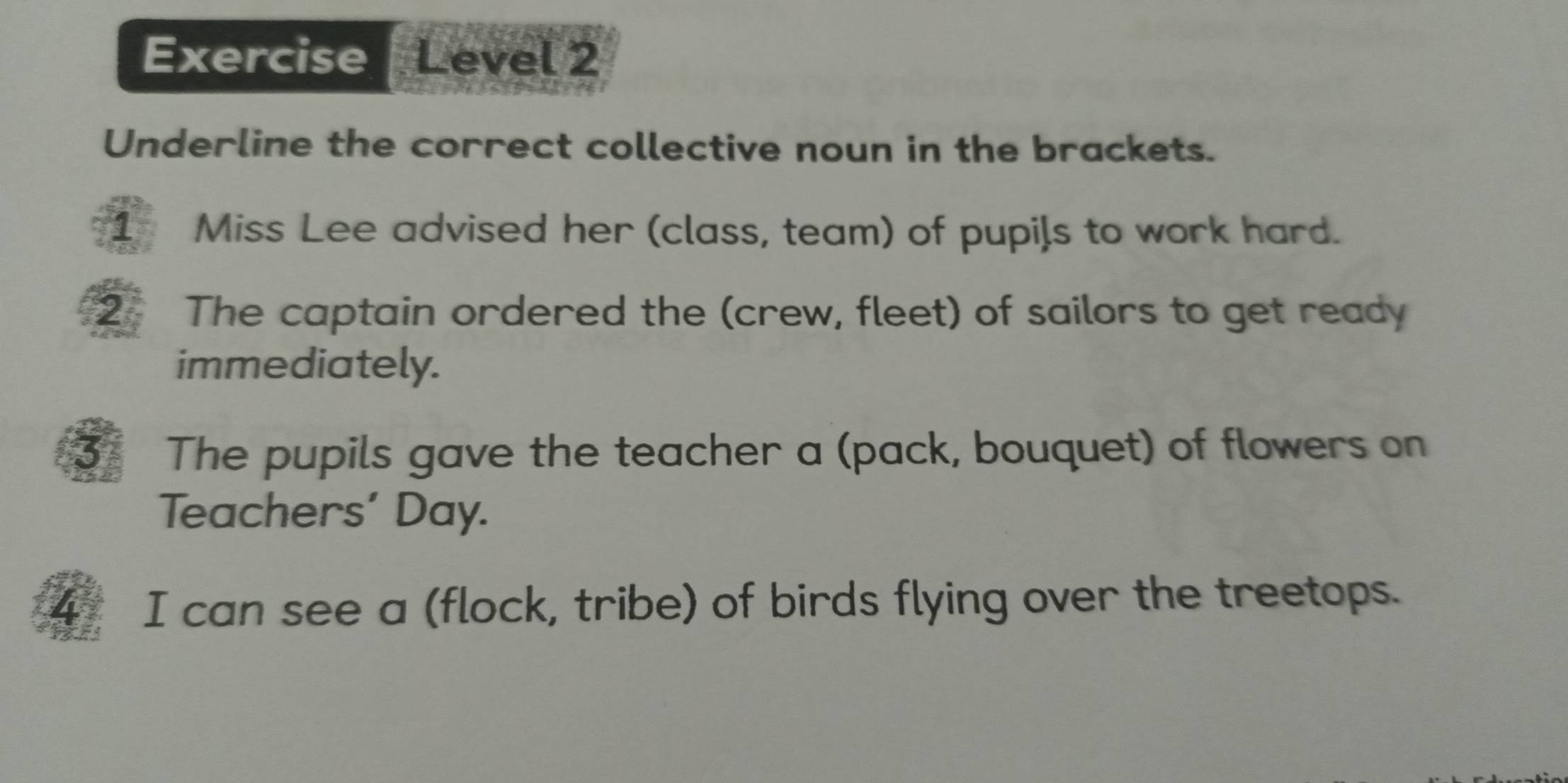 Exercise Level 2 
Underline the correct collective noun in the brackets. 
1 Miss Lee advised her (class, team) of pupils to work hard. 
2 The captain ordered the (crew, fleet) of sailors to get ready 
immediately. 
3 The pupils gave the teacher a (pack, bouquet) of flowers on 
Teachers’ Day. 
4 I can see a (flock, tribe) of birds flying over the treetops.