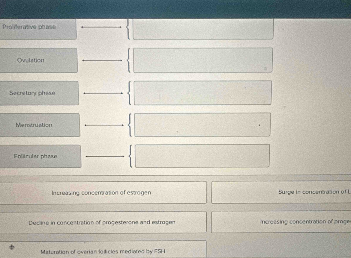 Proliferative phase 
Ovulation 
Secretory phase 
Menstruation 
Follicular phase 
Increasing concentration of estrogen Surge in concentration of l 
Decline in concentration of progesterone and estrogen Increasing concentration of proge 
Maturation of ovarian follicies mediated by FSH