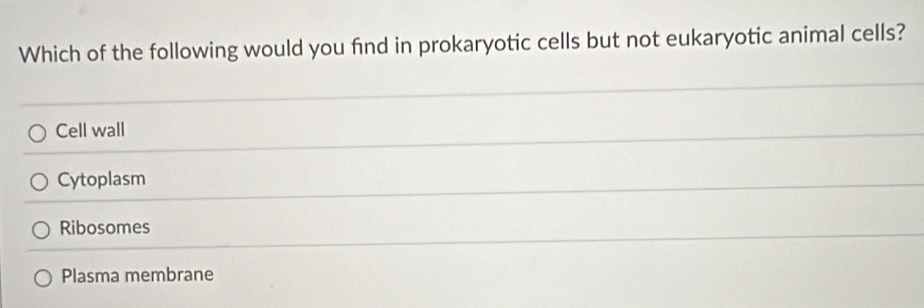 Which of the following would you find in prokaryotic cells but not eukaryotic animal cells?
Cell wall
Cytoplasm
Ribosomes
Plasma membrane