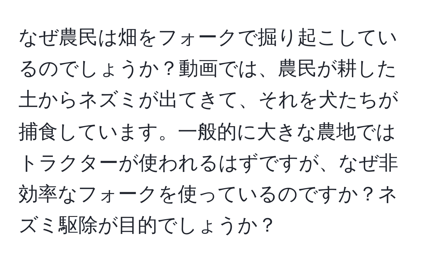 なぜ農民は畑をフォークで掘り起こしているのでしょうか？動画では、農民が耕した土からネズミが出てきて、それを犬たちが捕食しています。一般的に大きな農地ではトラクターが使われるはずですが、なぜ非効率なフォークを使っているのですか？ネズミ駆除が目的でしょうか？