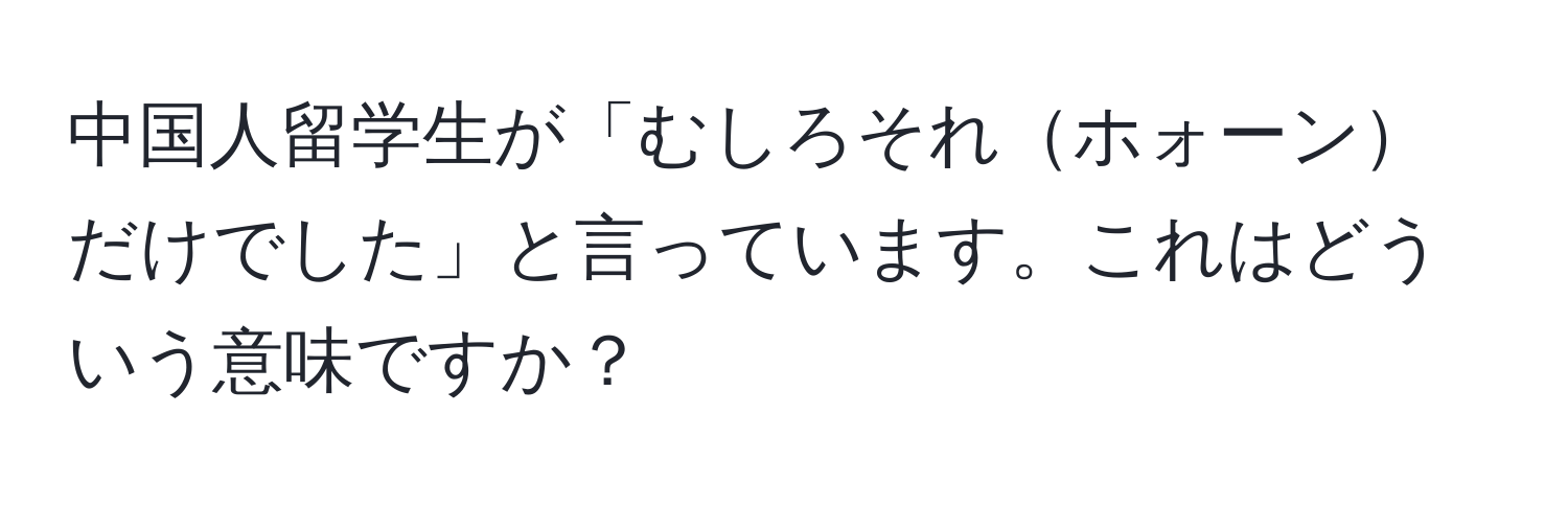 中国人留学生が「むしろそれホォーンだけでした」と言っています。これはどういう意味ですか？