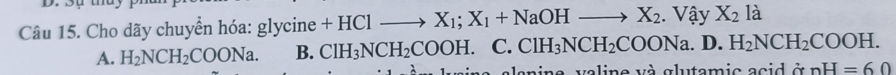 Cho dãy chuyển hóa: glycine - +HClto X_1; X_1+NaOHto X_2. Vậy X_2 là
A. H_2NCH_2COONa. B. ClH_3NCH_2COOH.C.ClH_3NCH_2COONa.D.H_2NCH_2COOH. 
v a line và glutamic acid ở nH=60