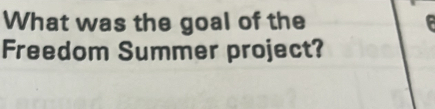 What was the goal of the 
Freedom Summer project?