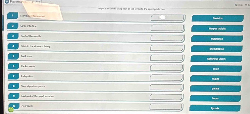 Pearson| Mathon B
Help
Use your mouse to drag each of the terms to the appropriate box.
1 Stomach inflammation
Gastritis
2 Large intestine Herpes labialis
Roof of the mouth
Dyspepsia
4 Folds in the stomach lining Bradypepsia
5 Cald sores
Aphthous ulcers
6 Canker sores
colon
7 Indigestion
Rugae
8 Slow digestive system palate
9 Last part of the small intestine ileum
10 Heartburn Pyrosis
