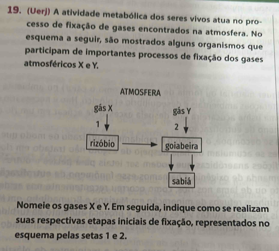 (Uerj) A atividade metabólica dos seres vivos atua no pro- 
cesso de fixação de gases encontrados na atmosfera. No 
esquema a seguir, são mostrados alguns organismos que 
participam de importantes processos de fixação dos gases 
atmosféricos X e Y. 
ATMOSFERA 
gás X
gás Y
1
2
rizóbio goiabeira 
sabiá 
Nomeie os gases X e Y. Em seguida, indique como se realizam 
suas respectivas etapas iniciais de fixação, representados no 
esquema pelas setas 1 e 2.