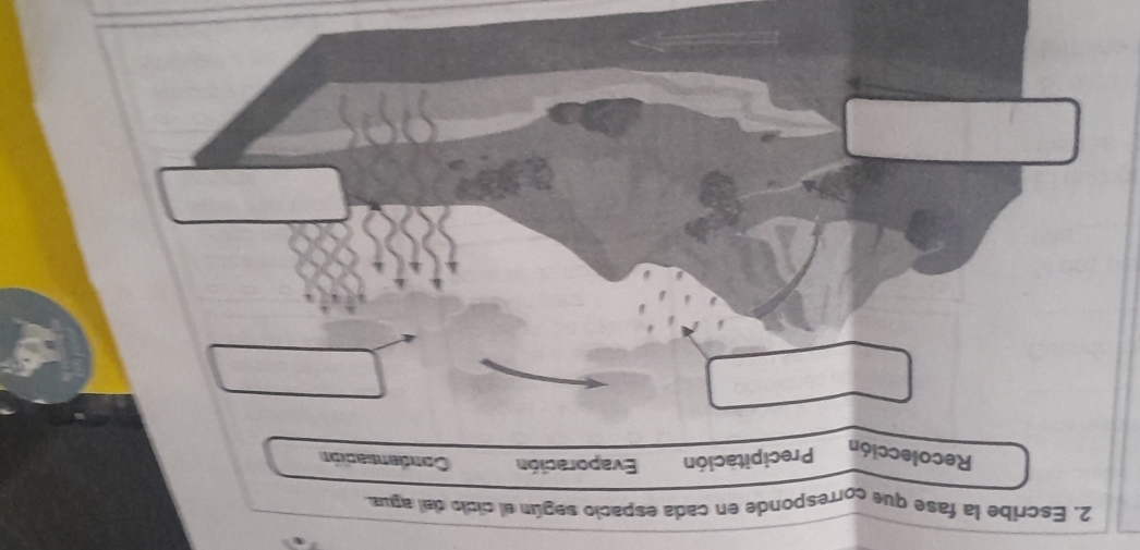 Escribe la fase que corresponde en cada espacio según el cicio del agua
Recolección Precipitación Evaporación Condensación