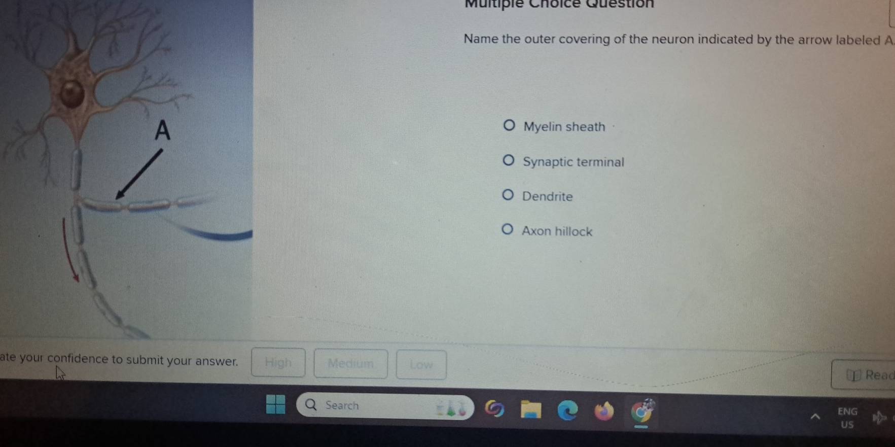 Question
Name the outer covering of the neuron indicated by the arrow labeled A
Myelin sheath
Synaptic terminal
Dendrite
Axon hillock
ate your confidence to submit your answer.gh Medium Low
Read
Search ENG
Us