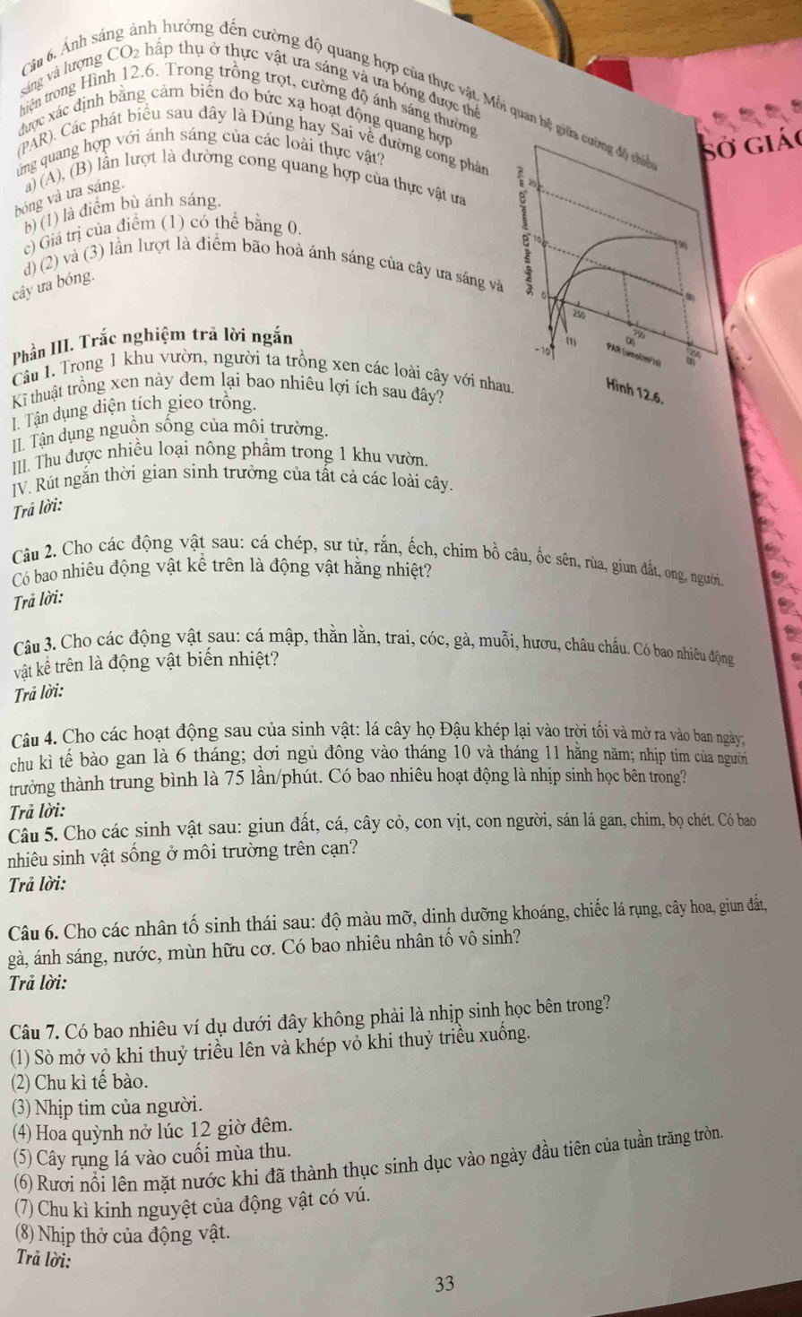 Ảnh sá
nh hưởng đến cường độ quang hợp của thực vật, Mỗi quan hệ gi
váng và lượng CO_2 hấp thụ ở thực vật ưa sáng và ưa bóng được thể
hiện trong Hình 12.6. Trong trồng trọt, cường độ ánh sáng thường
được xác định băng cảm biến đo bức xạ hoạt động quang hợn
(PAR). Các phát biểu sau đây là Đúng hay Sai về đường cong phản
ứng quang hợp với ánh sáng của các loài thực vật?
giá
bóng và ưa sáng. a) (A), (B) lần lượt là đường cong quang hợp của thực vật ưa
b) (1) là điểm bù ánh sáng
c) Giá trị của điểm (1) có thể bằng 0.
d) (2) và (3) lần lượt là điểm bão hoà ánh sáng của cây ưa sáng v
cây ưa bóng.
Phần III. Trắc nghiệm trả lời ngắn
Câu 1. Trong 1 khu vườn, người ta trồng xen các loài cây với nhaHình 12.6.
Kĩ thuật trồng xen này đem lại bao nhiêu lợi ích sau đây?
T. Tận dụng diện tích gieo trồng.
II. Tận dụng nguồn sống của môi trường.
III. Thu được nhiều loại nông phẩm trong 1 khu vườn.
JV. Rút ngắn thời gian sinh trưởng của tất cả các loài cây.
Trả lời:
Câu 2. Cho các động vật sau: cá chép, sư tử, rắn, ếch, chim bồ câu, ốc sên, rùa, giun đắt, ong, người.
Có bao nhiêu động vật kể trên là động vật hằng nhiệt?
Trả lời:
Câu 3. Cho các động vật sau: cá mập, thằn lằn, trai, cóc, gà, muỗi, hươu, châu chấu. Có bao nhiêu động
vật kể trên là động vật biến nhiệt?
Trả lời:
Câu 4. Cho các hoạt động sau của sinh vật: lá cây họ Đậu khép lại vào trời tối và mở ra vào ban ngày;
chu kì tế bào gan là 6 tháng; dơi ngủ đông vào tháng 10 và tháng 11 hằng năm; nhịp tim của ngườn
trưởng thành trung bình là 75 lần/phút. Có bao nhiêu hoạt động là nhịp sinh học bên trong?
Trả lời:
Câu 5. Cho các sinh vật sau: giun đất, cá, cây cỏ, con vịt, con người, sán lá gan, chim, bọ chét. Có bao
nhiêu sinh vật sống ở môi trường trên cạn?
Trả lời:
Câu 6. Cho các nhân tố sinh thái sau: độ màu mỡ, dinh dưỡng khoáng, chiếc lá rụng, cây hoa, giun đắt,
gà, ánh sáng, nước, mùn hữu cơ. Có bao nhiêu nhân tố vô sinh?
Trả lời:
Câu 7. Có bao nhiêu ví dụ dưới đây không phải là nhịp sinh học bên trong?
(1) Sò mở vỏ khi thuỷ triều lên và khép vỏ khi thuỷ triều xuống.
(2) Chu kì tế bào.
(3) Nhịp tim của người.
(4) Hoa quỳnh nở lúc 12 giờ đêm.
(5) Cây rụng lá vào cuối mùa thu.
(6) Rươi nổi lên mặt nước khi đã thành thục sinh dục vào ngày đầu tiên của tuần trăng tròn.
(7) Chu kì kinh nguyệt của động vật có vú.
(8) Nhịp thở của động vật.
Trả lời: 33