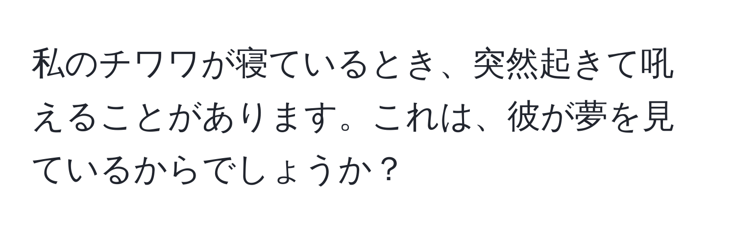 私のチワワが寝ているとき、突然起きて吼えることがあります。これは、彼が夢を見ているからでしょうか？