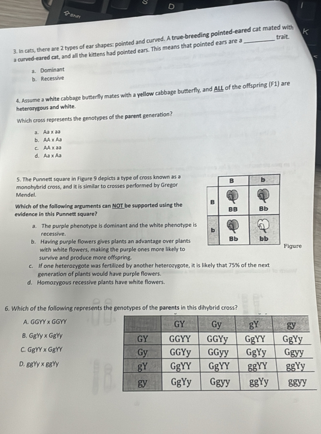 Shift
K
trait.
3. In cats, there are 2 types of ear shapes: pointed and curved. A true-breeding pointed-eared cat mated with
a curved-eared cat, and all the kittens had pointed ears. This means that pointed ears are a
a. Dominant
b. Recessive
4. Assume a white cabbage butterfly mates with a yellow cabbage butterfly, and ALL of the offspring (F1) are
heterozygous and white.
Which cross represents the genotypes of the parent generation?
a. Aa* aa
b. AA* Aa
C. AA* aa
d. Aa* Aa
5. The Punnett square in Figure 9 depicts a type of cross known as a
monohybrid cross, and it is similar to crosses performed by Gregor
Mendel.
Which of the following arguments can NOT be supported using the 
evidence in this Punnett square?
a. The purple phenotype is dominant and the white phenotype is
recessive.
b. Having purple flowers gives plants an advantage over plants
with white flowers, making the purple ones more likely toigure
survive and produce more offspring.
c. If one heterozygote was fertilized by another heterozygote, it is likely that 75% of the next
generation of plants would have purple flowers.
d. Homozygous recessive plants have white flowers.
6. Which of the following represents the genotypes of the parents in this dihybrid cross?
A. GGYY* GGYY
B. GgYy* GgYy
C. GgYY* GgYY
D. ggYy* ggYy