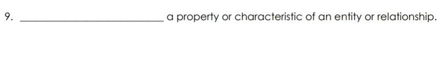 a property or characteristic of an entity or relationship.