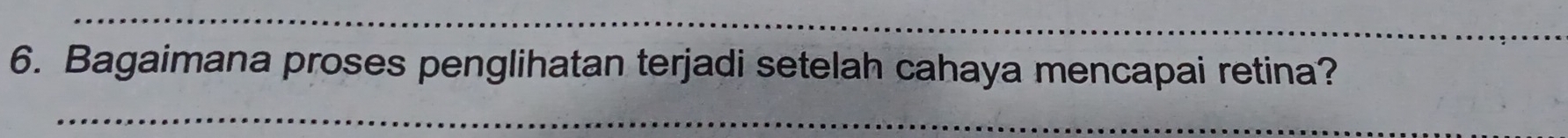 Bagaimana proses penglihatan terjadi setelah cahaya mencapai retina?