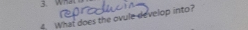 What does the ovule develop into?