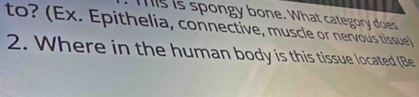 Mis is spongy bone. What category does 
to? (Ex. Epithelia, connective, muscle or nervous tissue) 
2. Where in the human body is this tissue located (Be