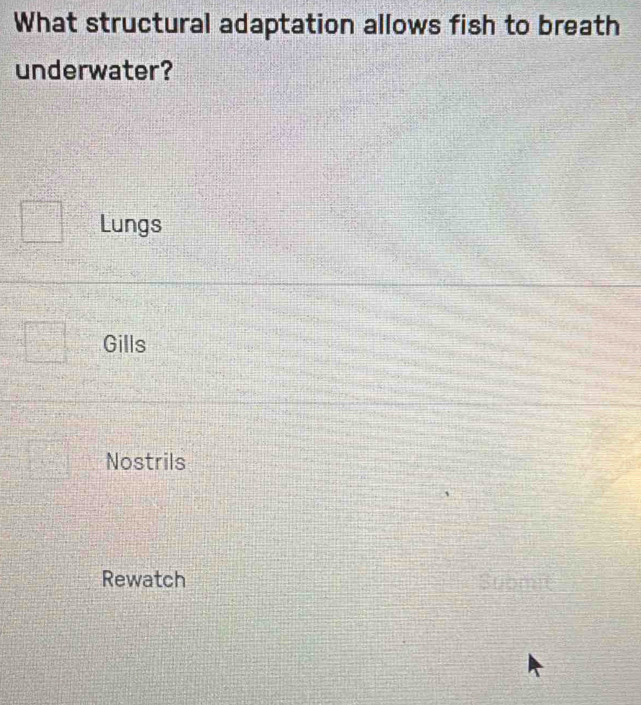 What structural adaptation allows fish to breath
underwater?
Lungs
Gills
Nostrils
Rewatch