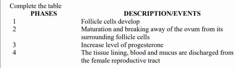 Complete the table 
PHASES DESCRIPTION/EVENTS 
1 Follicle cells develop 
2 Maturation and breaking away of the ovum from its 
surrounding follicle cells 
3 Increase level of progesterone 
4 The tissue lining, blood and mucus are discharged from 
the female reproductive tract