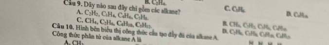 CH.
Cầu 9. Dãy nào sau đây chi gồm các alkane? C_2H_2, C_1H_4, C_4H_6, C_5H_8. 
A.
C. CHL
D. Cullia
C. CH_4, C_2H_6, C_4H_16, C_5H_12.
C_1H
Câu 10, Hình bên biểu thị công thức cầu tạo đẩy đã củu allane A.
Di CH_4CH_3CH_2 C:H_a_ CHía CúHa, CúHio
Công thức phân tử của alkane A là
A. CH